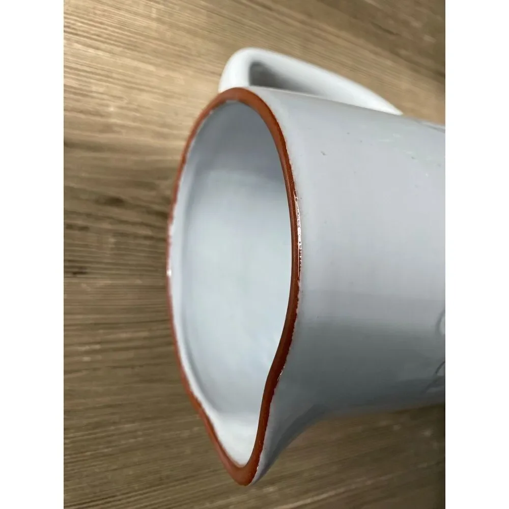 Pier1 Ceramic Botanical Design Pour Pitcher